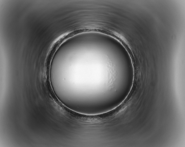 X0000087570979200704271244