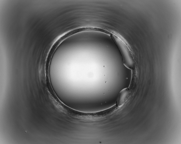 X0000087570980200704271244