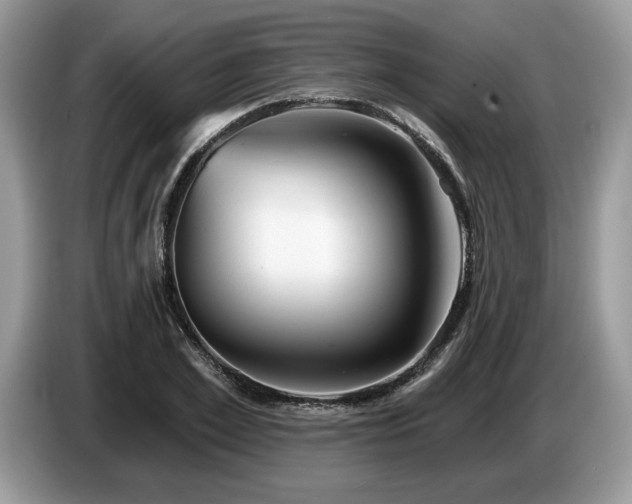 X0000087570981200704271244