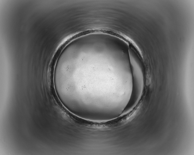 X0000087570983200704271244