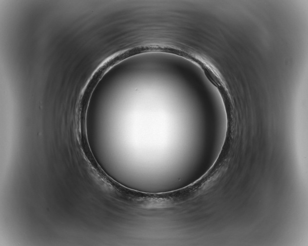 X0000087570984200704271244