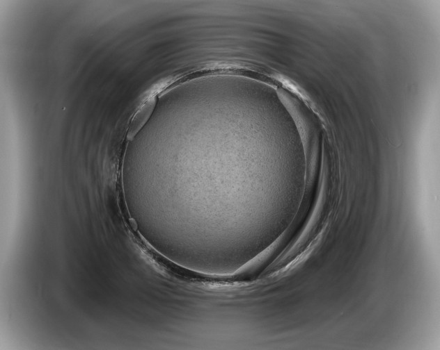 X0000087570985200704271244