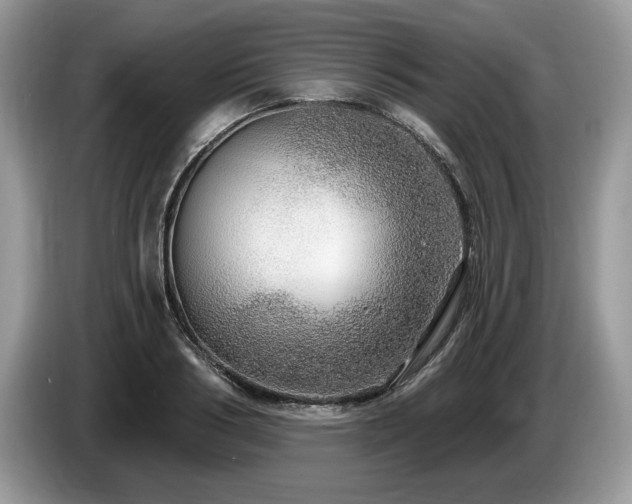 X0000087570986200704271244