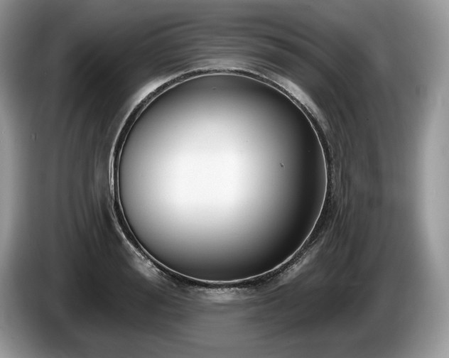 X0000087570988200704271244