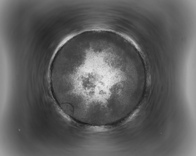 X0000087570990200704271244