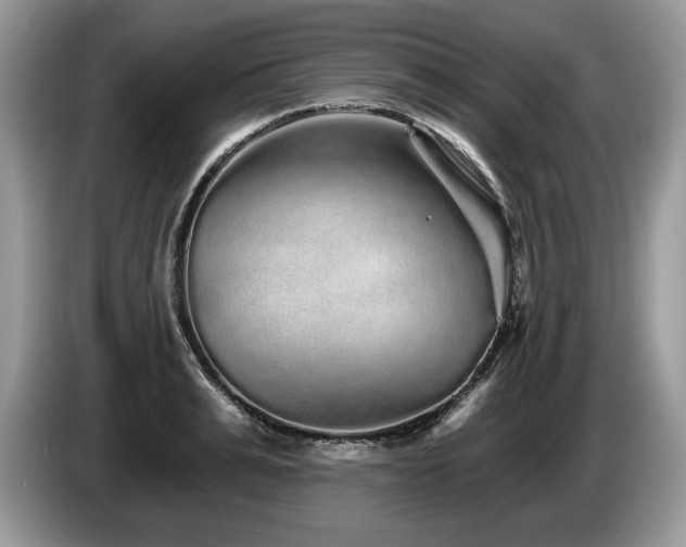 X0000087570991200704271244
