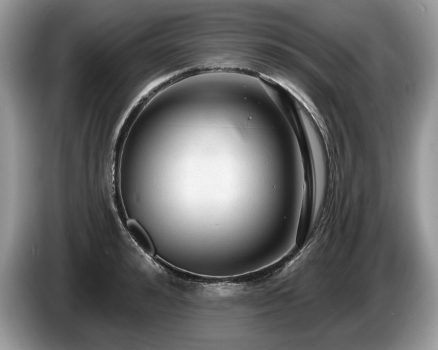 X0000087570992200704271244