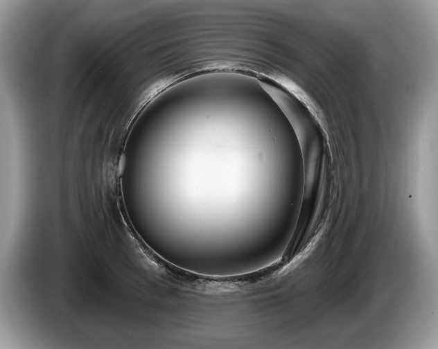X0000087570993200704271244