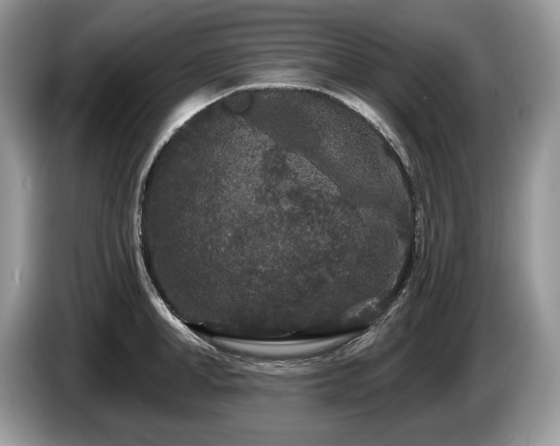 X0000087570998200704271244