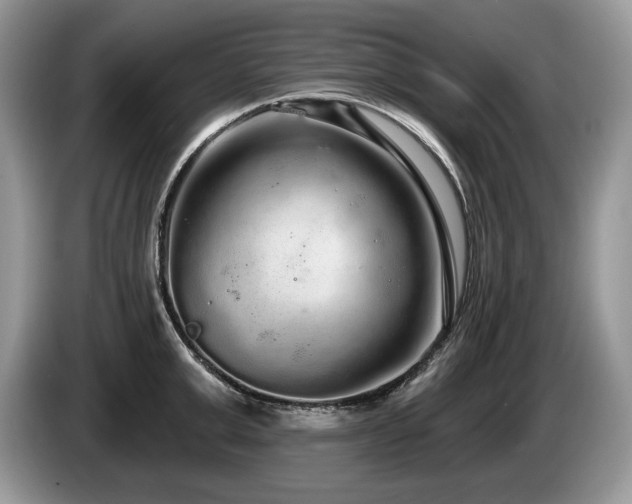 X0000087570999200704271244