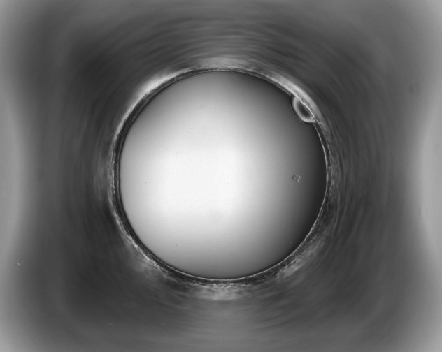 X0000087571000200704271244