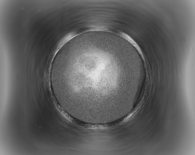 X0000087571002200704271244