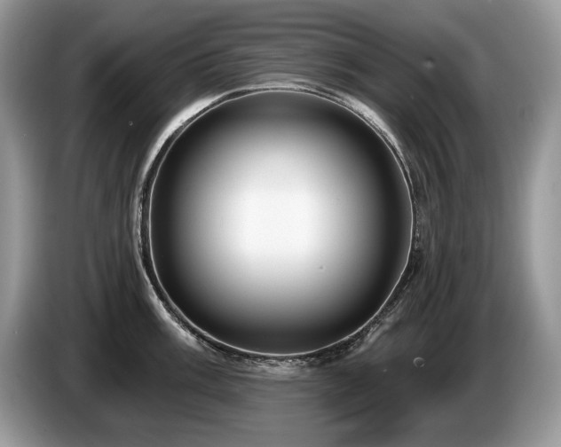 X0000087571003200704271244