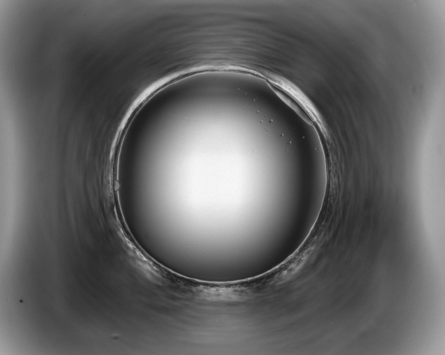 X0000087571004200704271244