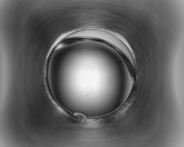 X0000087571005200704271244