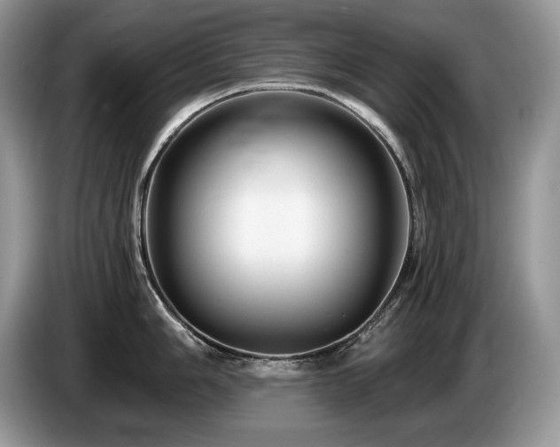 X0000087571006200704271244