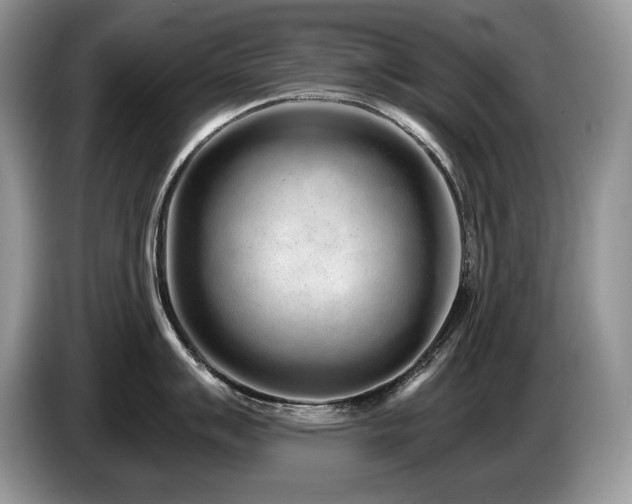 X0000087571007200704271244