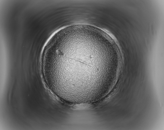 X0000087571008200704271244