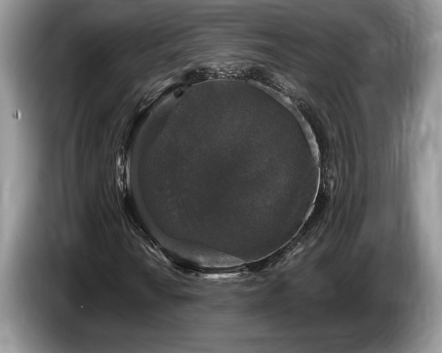 X0000087571010200704271243