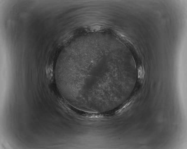 X0000087571011200704271243