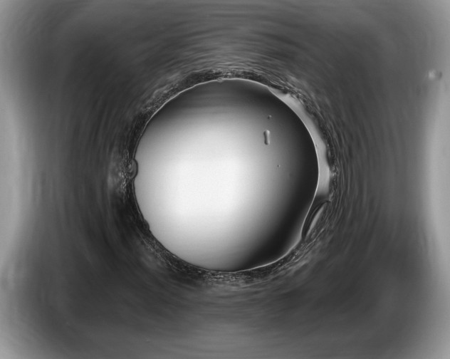 X0000087571012200704271243