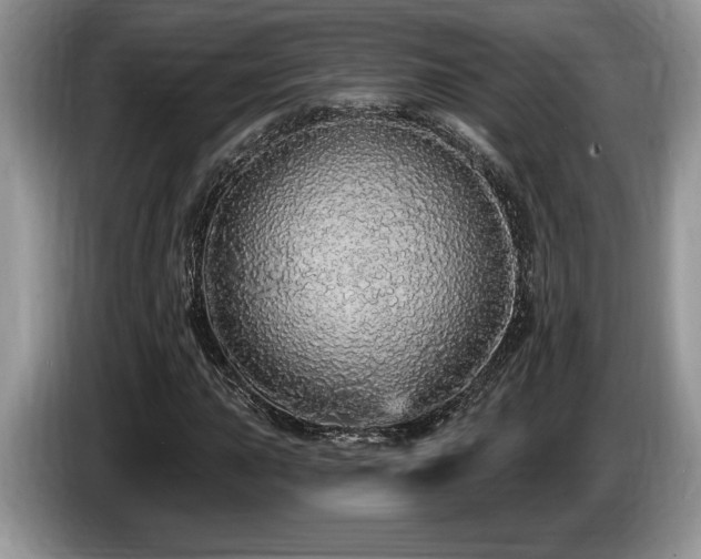 X0000087571015200704271243