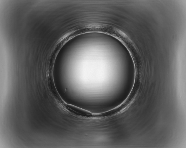 X0000087571017200704271243