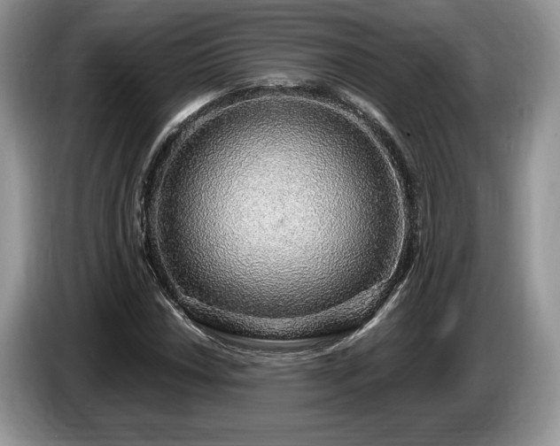 X0000087571018200704271243