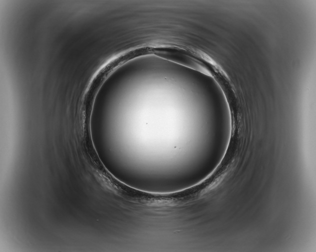 X0000087571021200704271243