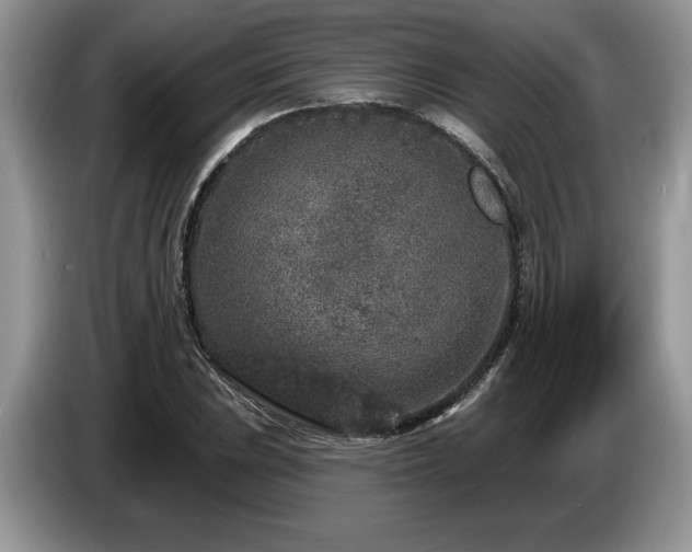 X0000087571023200704271243