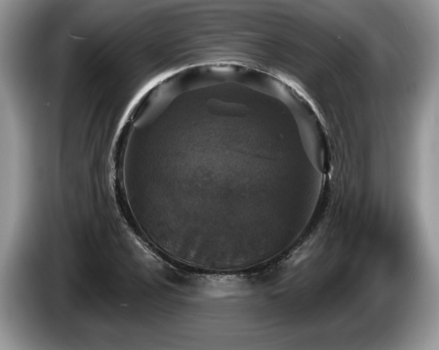 X0000087571024200704271243
