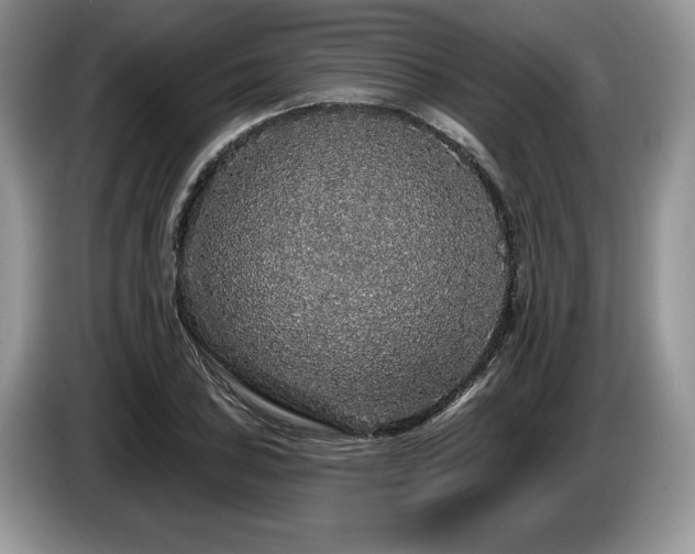 X0000087571027200704271243