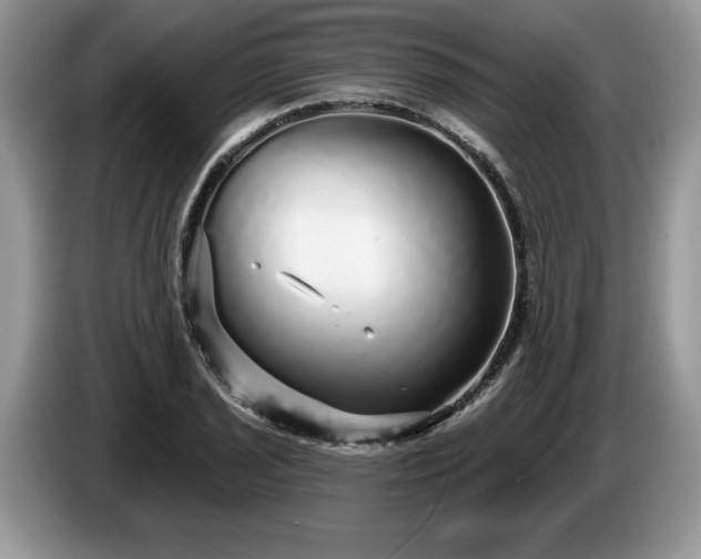 X0000087571029200704271243