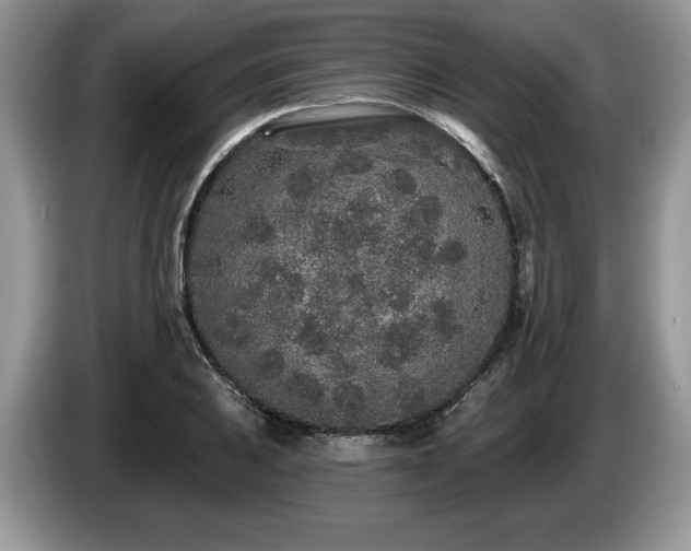 X0000087571031200704271243