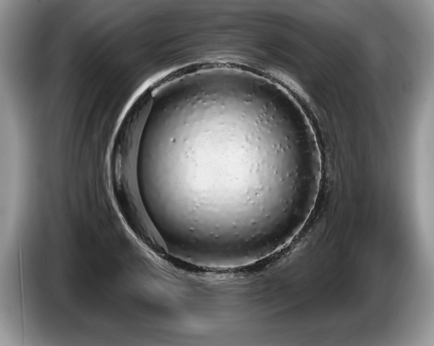 X0000087571032200704271243