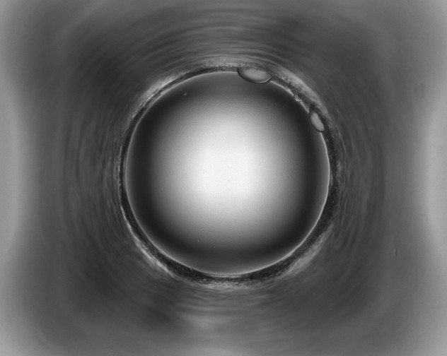 X0000087571033200704271243