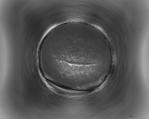 X0000087571038200704271243