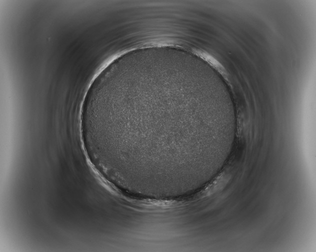 X0000087571039200704271243