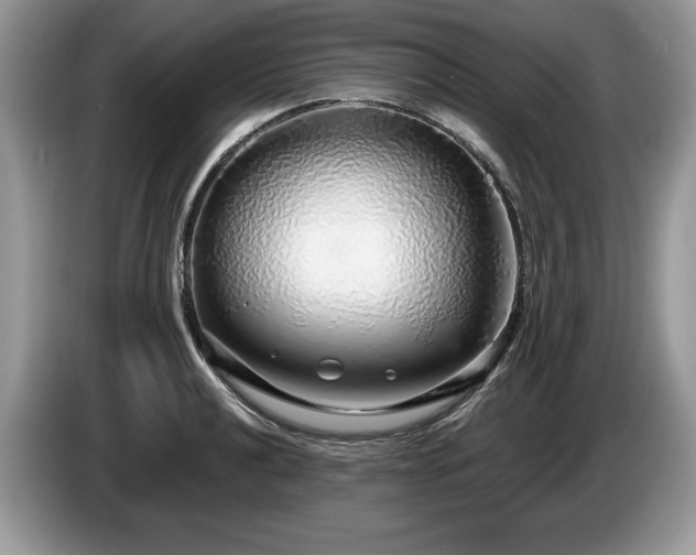 X0000087571040200704271243
