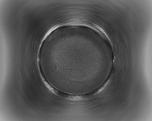X0000087571042200704271243