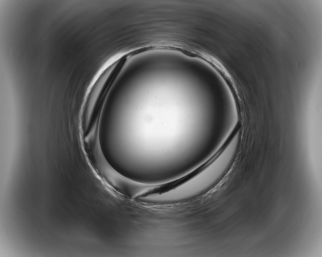 X0000087571048200704271244