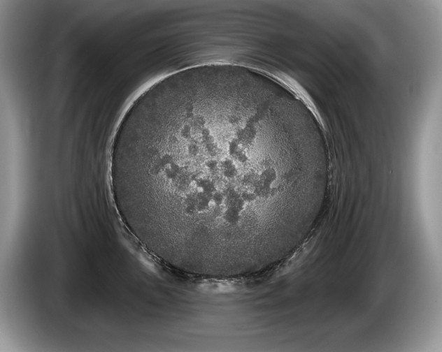 X0000087571051200704271244