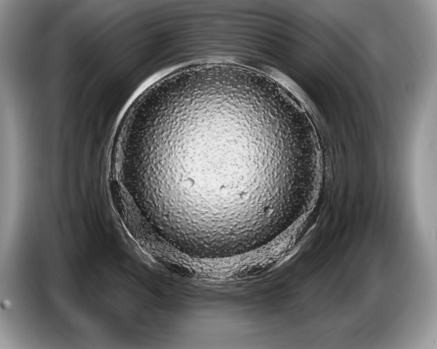 X0000087571052200704271244