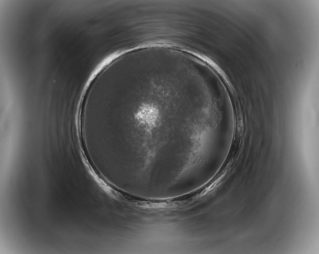 X0000087571054200704271244