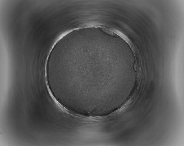 X0000087571055200704271244