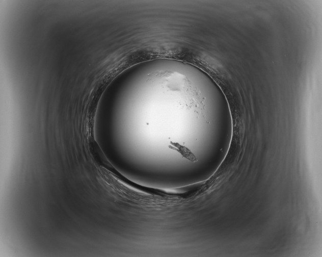 X0000087571058200704271243