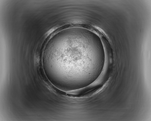 X0000087571065200704271243