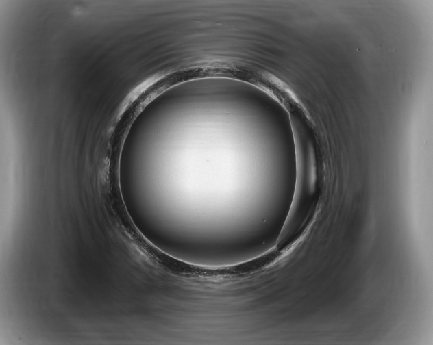 X0000087571066200704271243