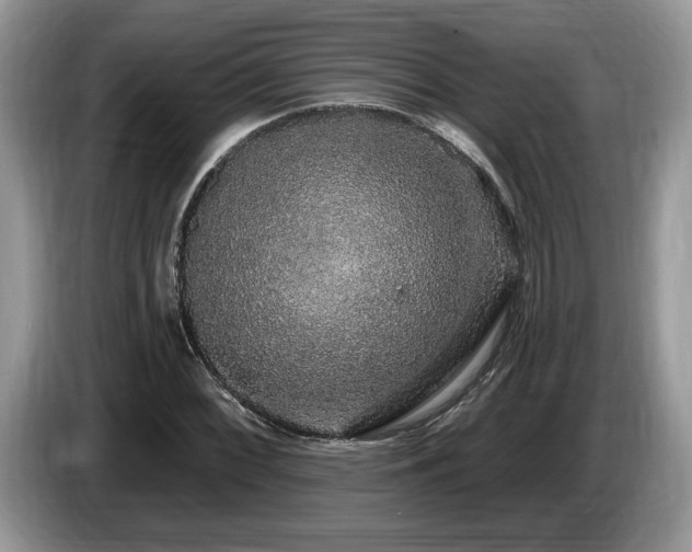 X0000087571068200704271243