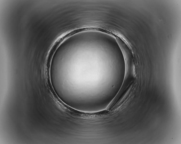 X0000087571072200704271243